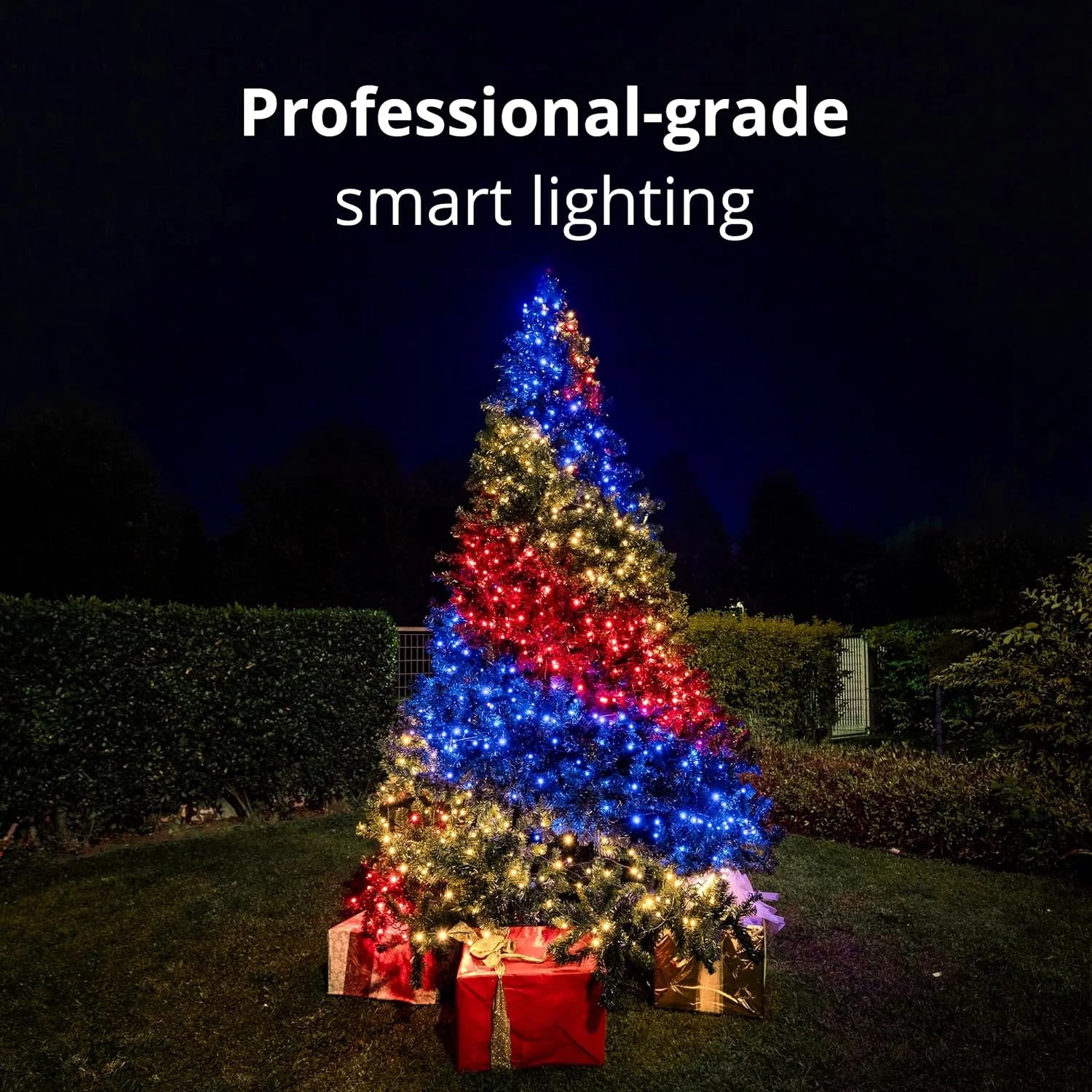 Twinkly Plus Outdoor RGB-W LED String Lights, 1000 Lights, Corded Electric