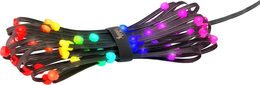 Twinkly - Smart Light 400 RGB LED Light String and 60 Dots (Gen 2) - Multi