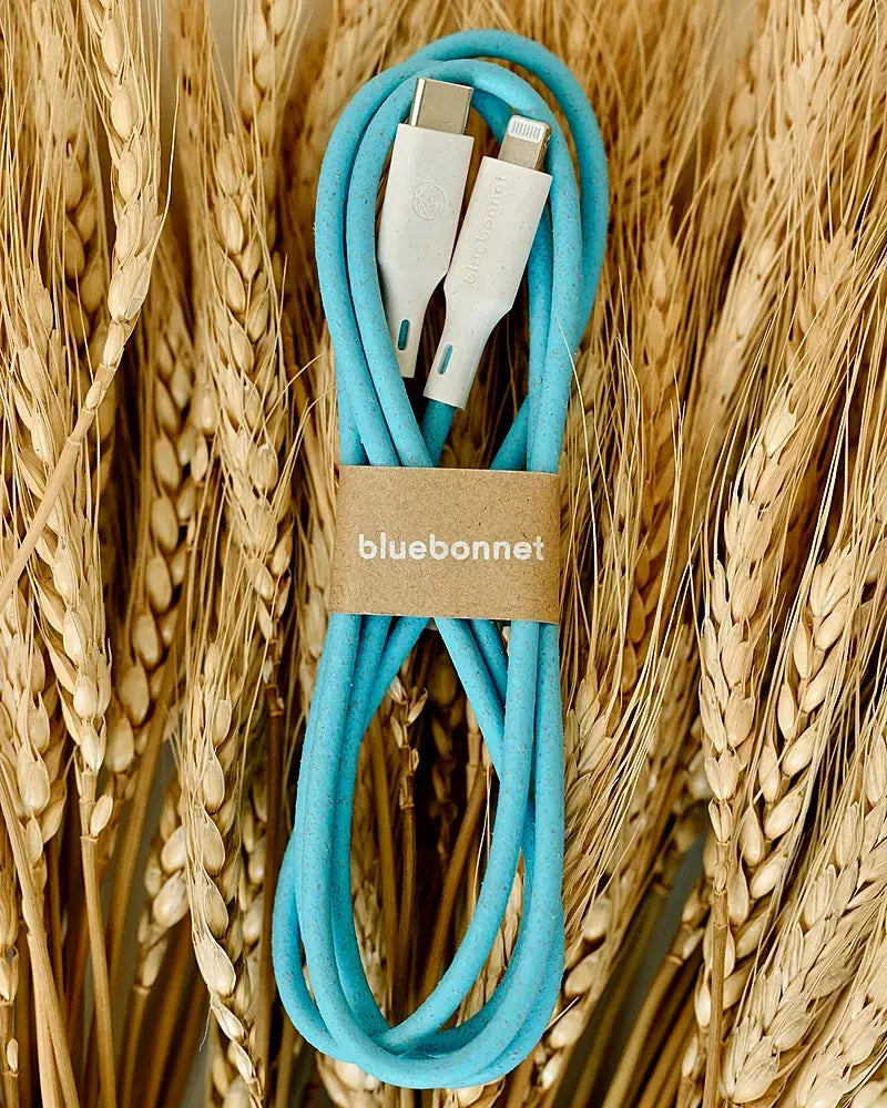 Bluebonnet - 4' USB-C to Lightning Fast Charging Cable, Connects Perfectly, Sleak Design - Blue