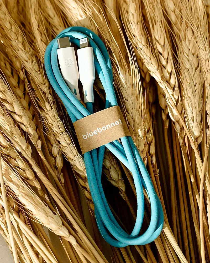 Bluebonnet - 4' USB-C to Lightning Fast Charging Cable, Connects Perfectly, Sleak Design - Blue