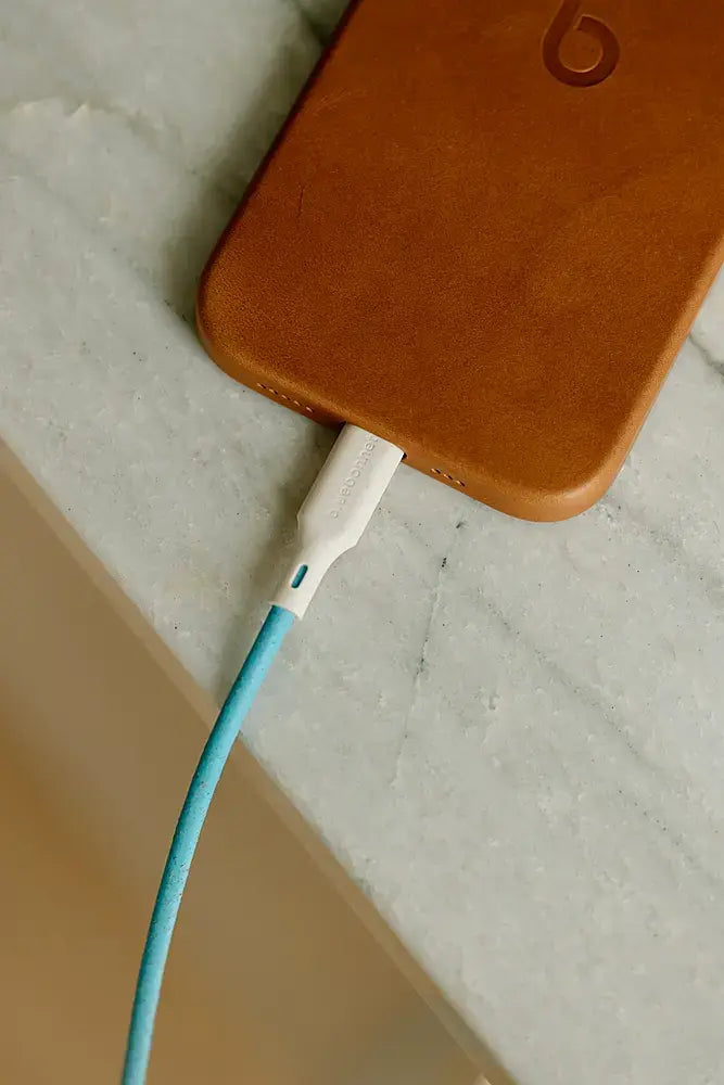 Bluebonnet - 4' USB-C to Lightning Fast Charging Cable, Connects Perfectly, Sleak Design - Blue