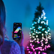 Pre-lit Regal Tree (Multicolor)
