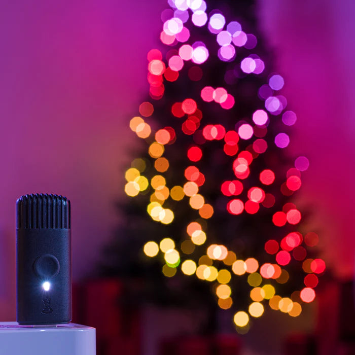 Pre-lit Regal Tree (Multicolor)