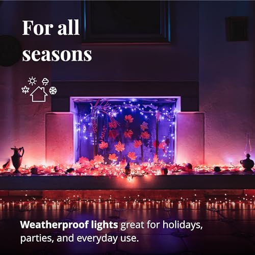 Twinkly Cluster 19.7ft RGB + White, Dense 400 LED Light String, in- and Outdoor Smart Multicolor LED Lights, Compatible with Alexa and Google Home, Gaming, IP44, App Mapping, Green Wire